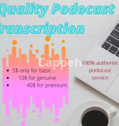 I will make your desired podcast content within 6hrs