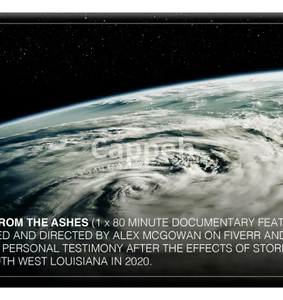 I will write your documentary film