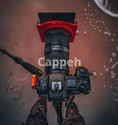 I will turn your book into a screenplay