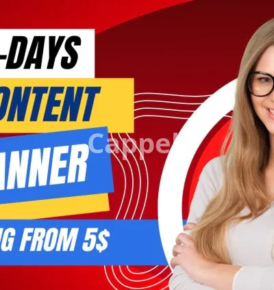 I will plan a lucrative content strategy for your social media