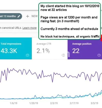 I will write an exceptional SEO blog post for google page one