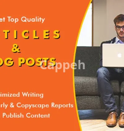 I will do SEO article writing of 500 words in 24 hours