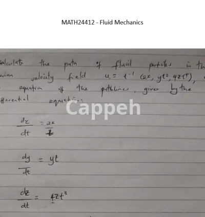 I will do any type of mathematical assignment and IT