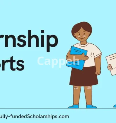 I will assist in writing internship reports