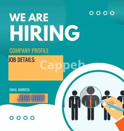 I will write professional job description and job ads or posts for any position