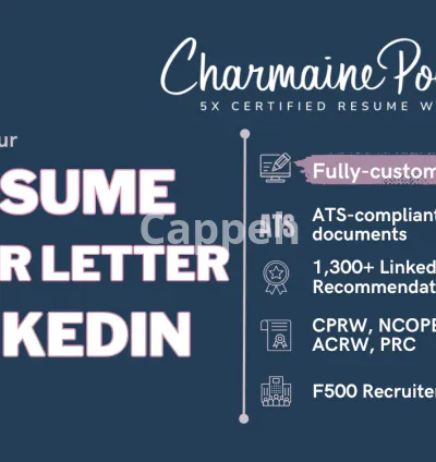I will write your senior, director, vp, svp, or executive resume package