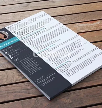 I will write you the best resume