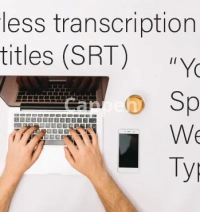 I will translate, transcribe, subtitle english,french and arabic srt