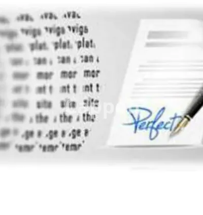 I will write top quality transcripts for any dutch or english audio or video