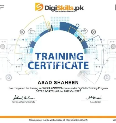 I will do urdu to english and english to urdu translation