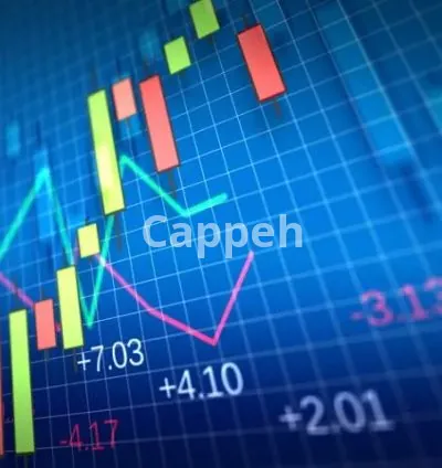 I will write financial articles and blogs