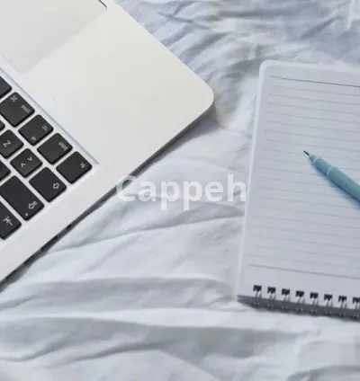 I will write well researched and appealing general blogs