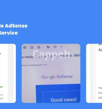I will provide you best google adsense approval service