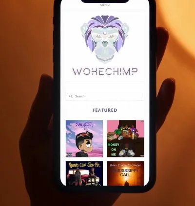 I will write and promote your music press release