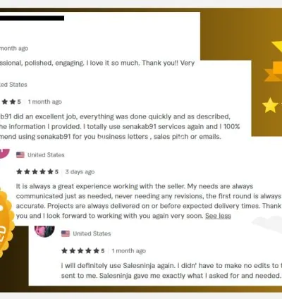 I will write a high quality email, sales pitch, or business letter