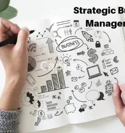 I will do strategic business management case studies