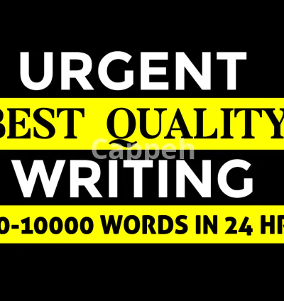 I will write 2000 words essay, urgent essay writing, case study, business proposals