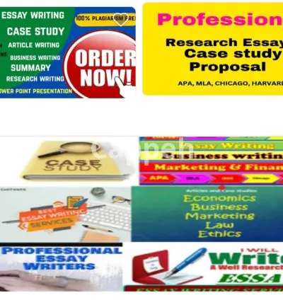 I will do international business case studies and essays
