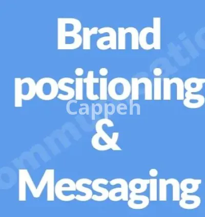 I will develop a brand voice, story and messaging