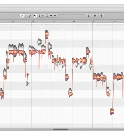I will manually pitch correct and edit your vocals using melodyne