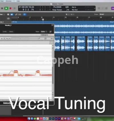 I will align and tune your vocal with melodyne