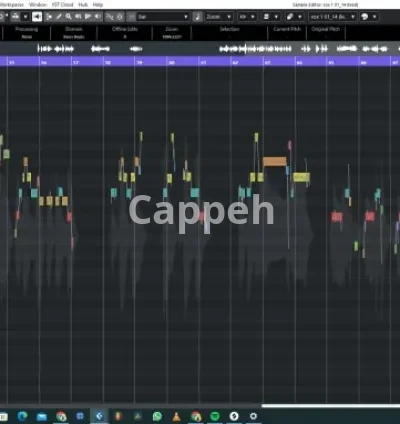 I will do your vocal pitch and time correction, mixing, mastering