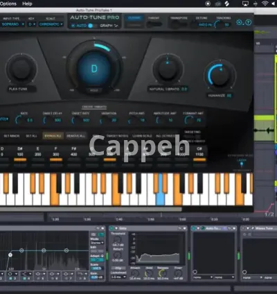 I will professionally autotune and pitch correct your vocals