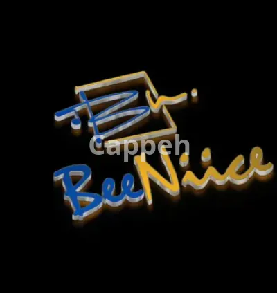 I will create professional custom dubplate for your dj name and sound