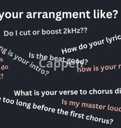 I will grade your music before you send to a record label