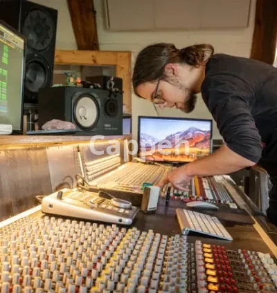 I will provide professional, detailed mix feedback