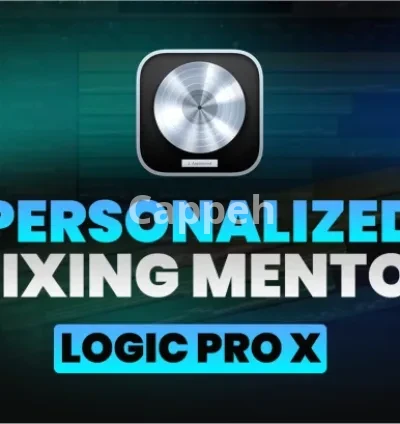 I will teach you mixing and mastering in logic pro x as a pro mixing engineer