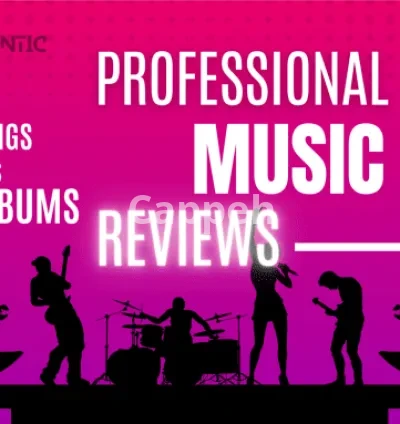 I will write a professional review for your song or album