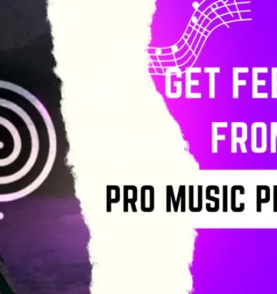 I will give professional feedback and advice by pro music producer