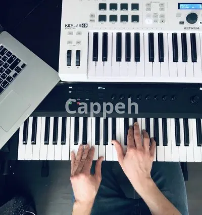 I will transcribe your song to sheet music or midi