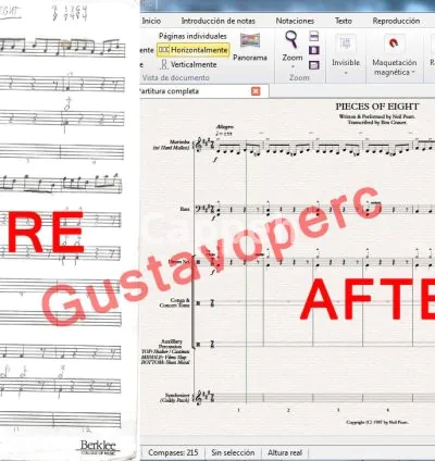 I will copy your pdf or handwritten music on sibelius or finale