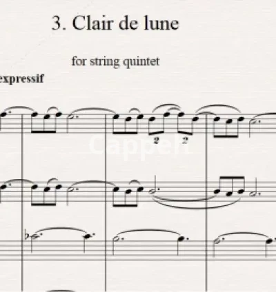 I will copy your pdf or handwritten music on sibelius or finale