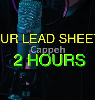 I will make a lead sheet or chord chart from your song