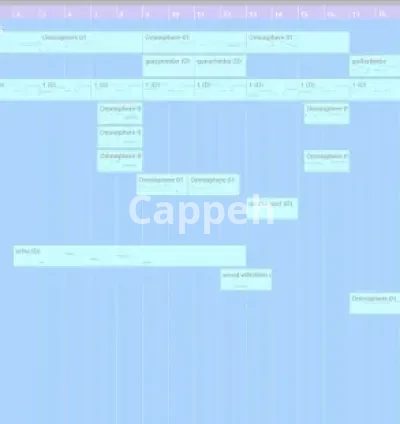 I will provide music composition lessons and consultation