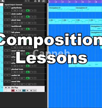 I will provide music composition lessons and consultation