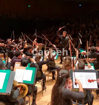 I will teach you orchestral conducting