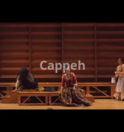 I will provide vocal coaching voice lesson in italian english chinese pop musical opera