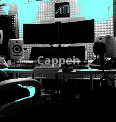 I will provide professional services for your podcasts