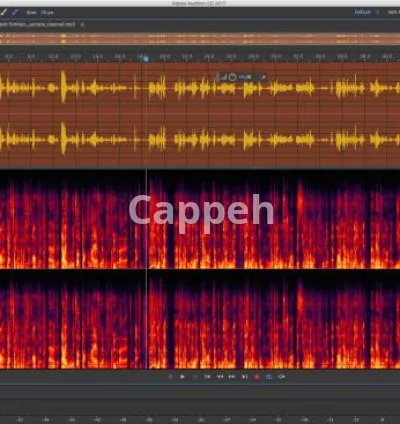 I will edit your podcast episodes or any audio in adobe audition