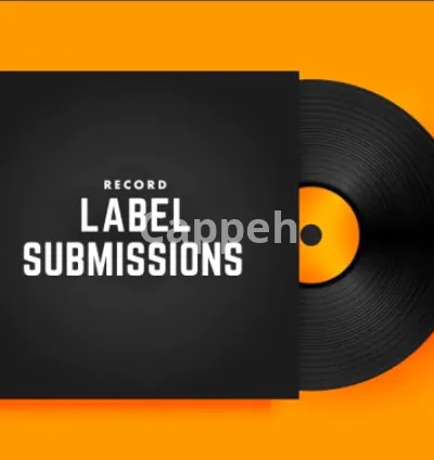 I will send your music to major record labels