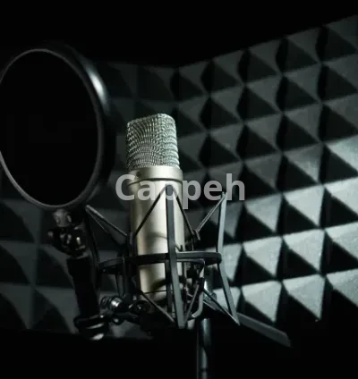 I will produce your professional audio commercial from start to finish