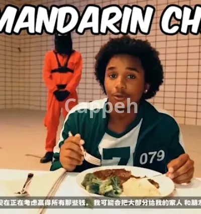 I will dub and translate your video with ai