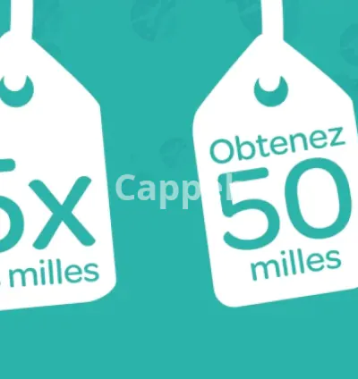 I will record french canadian voice over