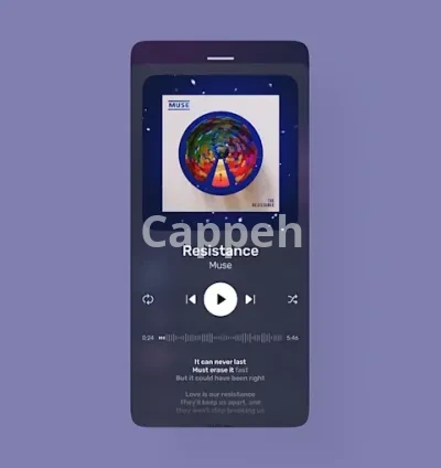 I will do any kind of audio software development or lyrics