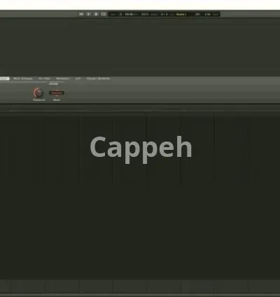 I will fix and install vst, plugin and daw for windows and mac