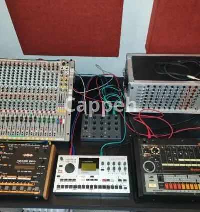 I will run your midi track through analog synthesizer